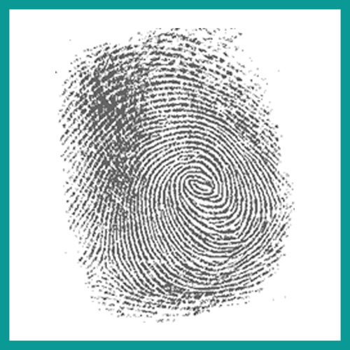 What Is a Fingerprint? Let’s Get to the Bottom of It
